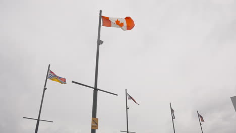 An-ensemble-of-flags-proudly-fluttering-on-poles,-showcasing-a-diverse-array-that-includes-the-Canadian-flag,-the-British-Columbia-flag,-and-vibrant-LGBTQ-flags