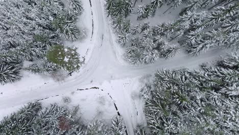 Drone-view-of-forest-road-intersection-between-snow-covered-trees