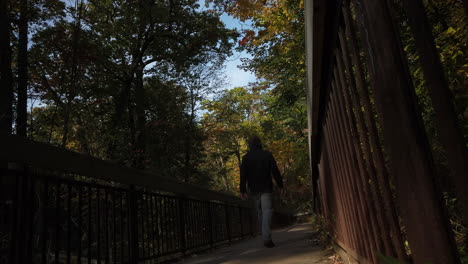 Man-walking-away-from-camera-on-a-wooden-boardwalk-in-the-forest