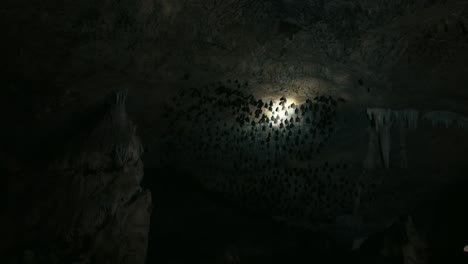 adventurous-exploration-inside-a-dark,-eerie-Bat-Cave