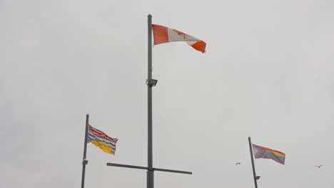 Una-Vibrante-Colección-De-Banderas-Que-Presenta-Un-Espectro-Diverso-Que-Incluye-La-Bandera-Canadiense,-La-Bandera-De-Columbia-Británica-Y-La-Animada-Bandera-Lgbtq.