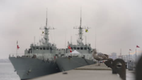 Pulling-focus-from-a-seagull-perched-upon-a-concrete-bench-toward-a-couple-of-docked-ships-floating-calmly-in-the-water-at-the-pier