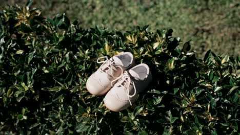 Child's-white-shoes-on-green-bush-leaves