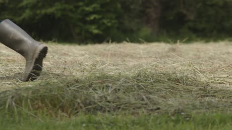 Farmer-walking-across-hay-field-during-harvest-season,-low-angle