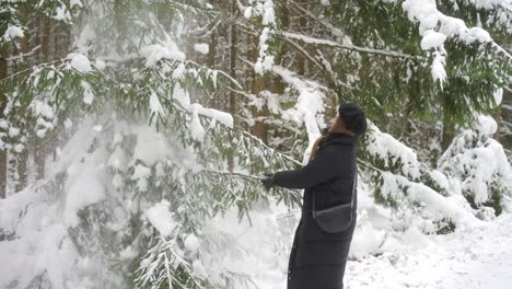 Schneefall-Bedeckter-Wald,-Attraktive-Erwachsene-Frau,-Die-Äste-Eines-Baumes-Schüttelt