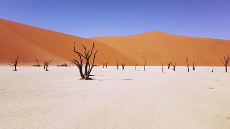 4K-Drone-Flying-Through-Dead-Camel-Thorn-Trees-in-Deadvlei,-near-Sossusvlei,-Namib-Naukluft-Park,-Namibia