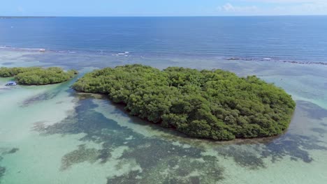 Luftaufnahme-Einer-Grün-Bewachsenen-Insel,-Umgeben-Von-Türkisfarbenem-Meerwasser,-An-Der-Playa-Boca-Chica,-Santo-Domingo