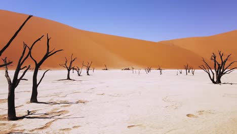 4K-Drohne-Kreist-In-Der-Nähe-Toter-Kameldornbäume-Im-Deadvlei,-In-Der-Nähe-Von-Sossusvlei,-Namib-Naukluft-Park,-Namibia