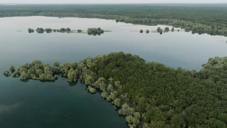 Forest-Lake-East-France-Aerial-View-d-Orient