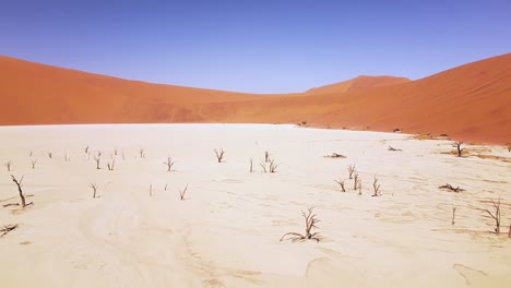 4K-Drone-Flying-Over-Dead-Camel-Thorn-Trees-in-Deadvlei,-near-Sossusvlei,-Namib-Naukluft-Park,-Namibia