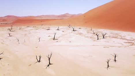 4K-Drohne-Fliegt-über-Tote-Kameldornbäume-In-Deadvlei,-In-Der-Nähe-Von-Sossusvlei,-Namib-Naukluft-Park,-Namibia