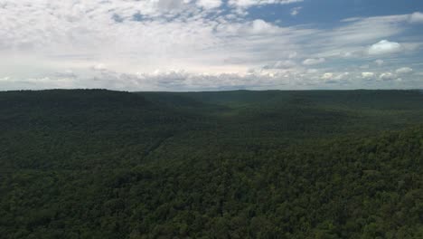 Vista-De-Pájaro-De-La-Selva-De-Paraná