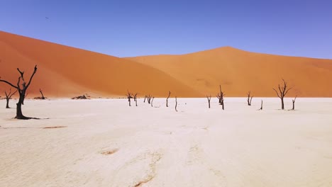 4k-Drone-Volando-A-Través-De-árboles-Muertos-De-Espinas-De-Camello-En-Deadvlei,-Cerca-De-Sossusvlei,-Parque-Namib-naukluft,-Namibia