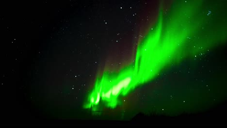 Dancing-northern-lights-above-tundra-moss
