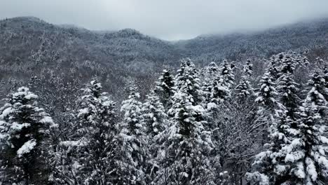 Aerial-ascend-over-snow-covered-pine-tree-forest-to-deep-grey-white-valley-after-winter-storm