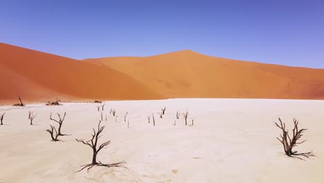 4K-Drohne-Fliegt-über-Tote-Kameldornbäume-In-Deadvlei,-In-Der-Nähe-Von-Sossusvlei,-Namib-Naukluft-Park,-Namibia