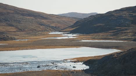 Arktische-Tundra-Im-Sommer-Mit-Gewundenem-Fluss