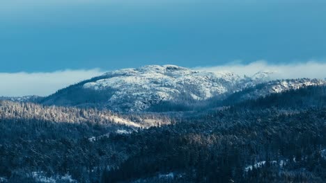 Mountain-Forest-Covered-In-Winter-Snow-In-Indre-Fosen,-Norway---Aerial-Drone-Shot