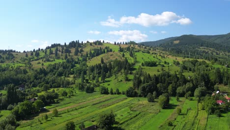 Palanca-Landschaft-Im-Sommer-Mit-Grünen-Wäldern,-Hügeln-Und-Feldern-Im-Kreis-Bacau,-Westmoldawien,-Rumänien