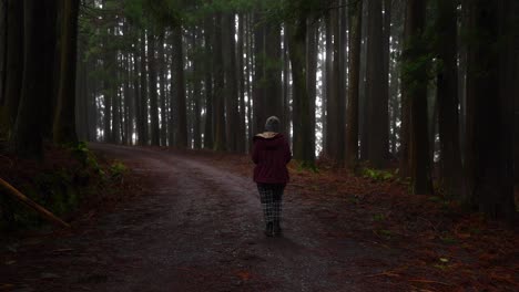 Woman-walking-through-dark-forest-along-path-of-red-volcanic-stones-in-Azores
