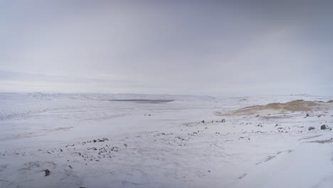 Tundra-ártica-Después-De-La-Nieve-Fresca-Del-Invierno
