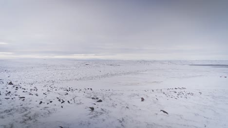 Frozen-barren-arctic-tundra-with-hills