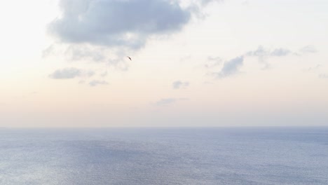 Drone-tracking-follows-sea-bird-soaring-above-pastel-colored-sky-and-ocean-below