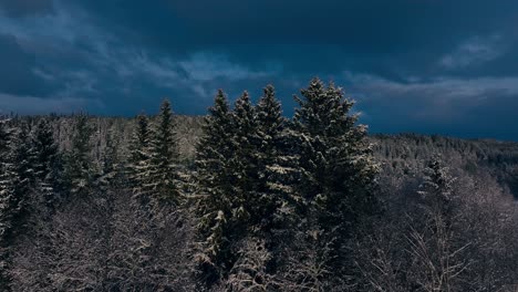 Snowy-Forest-Landscape-Against-Overcast-Sky-In-Indre-Fosen,-Norway---Aerial-Pullback