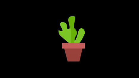 A-cactus-in-a-pot-icon-concept-animation-with-alpha-channel