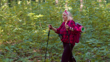 Senior-elderly-tourist-grandmother-training-Nordic-walking-with-ski-trekking-poles,-hiking-in-wood