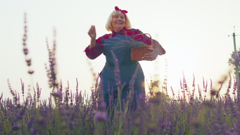 Senior-old-grandmother-farmer-gathering-lavender-flowers-on-field,-dancing,-celebrating-success-win