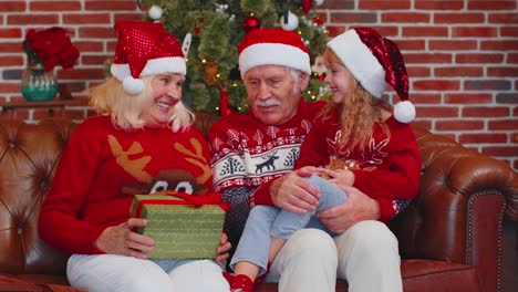 Glückliche-ältere-Großeltern-Mit-Enkelin-Genießen-Angenehme-Gespräche-Im-Weihnachtsheimzimmer