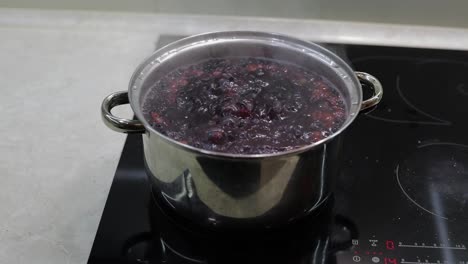 Die-Beeren-In-Einem-Topf-Mit-Kochendem-Wasser-Verrühren.-Kompott-Kochen.-Küche
