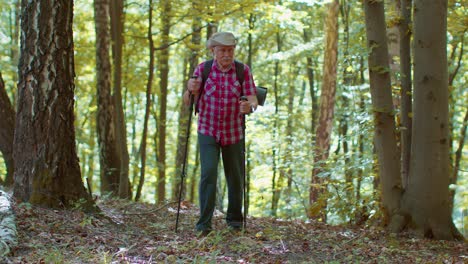 Senior-old-Caucasian-tourist-hiker-grandfather-training-Nordic-walking-with-trekking-poles-in-forest