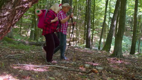 Senior-old-elderly-grandmother-grandfather-training-Nordic-walking-with-ski-trekking-poles-in-wood
