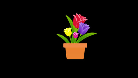 Blumen-In-Einem-Topf-Symbol-Konzept-Animation-Mit-Alphakanal