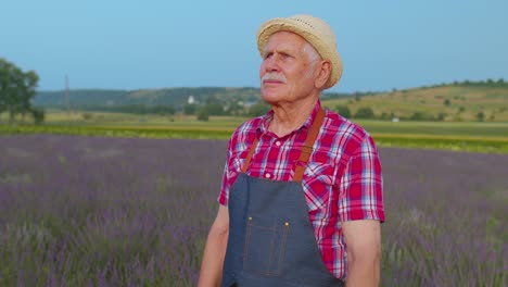 Senior-farmer-man-turning-face-to-camera-and-smiling-in-lavender-field-meadow-flower-herb-garden