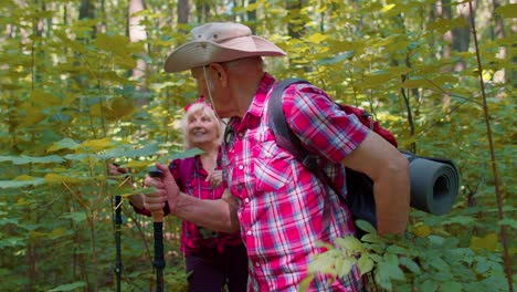 Senior-grandparents-couple-having-conversation,-training-Nordic-walking-with-trekking-poles-in-wood