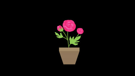 Eine-Pflanze-In-Einem-Topf-Mit-Blumenblättern-Symbol-Konzept-Loop-Animationsvideo-Mit-Alphakanal
