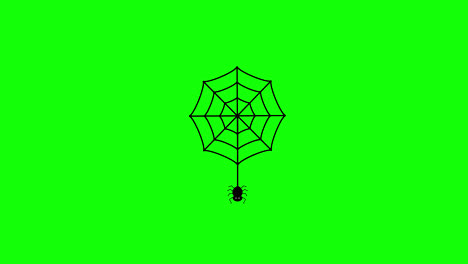 spider-web-icon-concept-loop-animation-video-with-alpha-channel