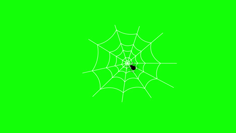 Spinnennetz-Symbol-Konzept-Loop-Animationsvideo-Mit-Alphakanal