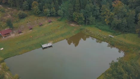 Groom-with-bride-near-lake-in-the-park.-Wedding-couple.-Aerial-shot