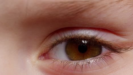 Highly-detailed-macro-shot-opening,-closing-brown-color-pigmentation-eyes-of-little-children-girl
