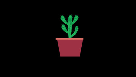 A-cactus-in-a-pot-icon-concept-animation-with-alpha-channel