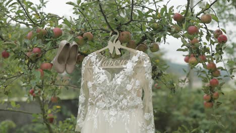 The-bride's-dress-hangs-on-an-apple-tree.-Very-beautiful-and-elegant.-Wedding