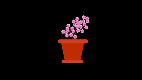 flower-pot-with-sakura-flower-tree-icon-concept-animation-with-alpha-channel