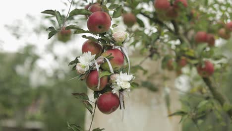 Wunderschöne-Hochzeitssträuße-Hängen-An-Einem-Apfelbaum