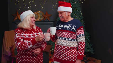 Senior-grandmother,-grandmother-enjoying-pleasant-Christmas-conversation,-drinking-hot-tea-at-home