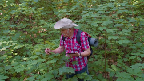 Active-elderly-senior-grandfather-adventurer-exploring-forest-trees,-plants-with-her-digital-tablet