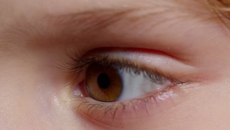 Menschliches-Braunes-Auge-Iris-öffnet-Pupille,-Augapfel-Eines-Kindes-Blickt-Aus-Nächster-Nähe-Auf-Makroaufnahme